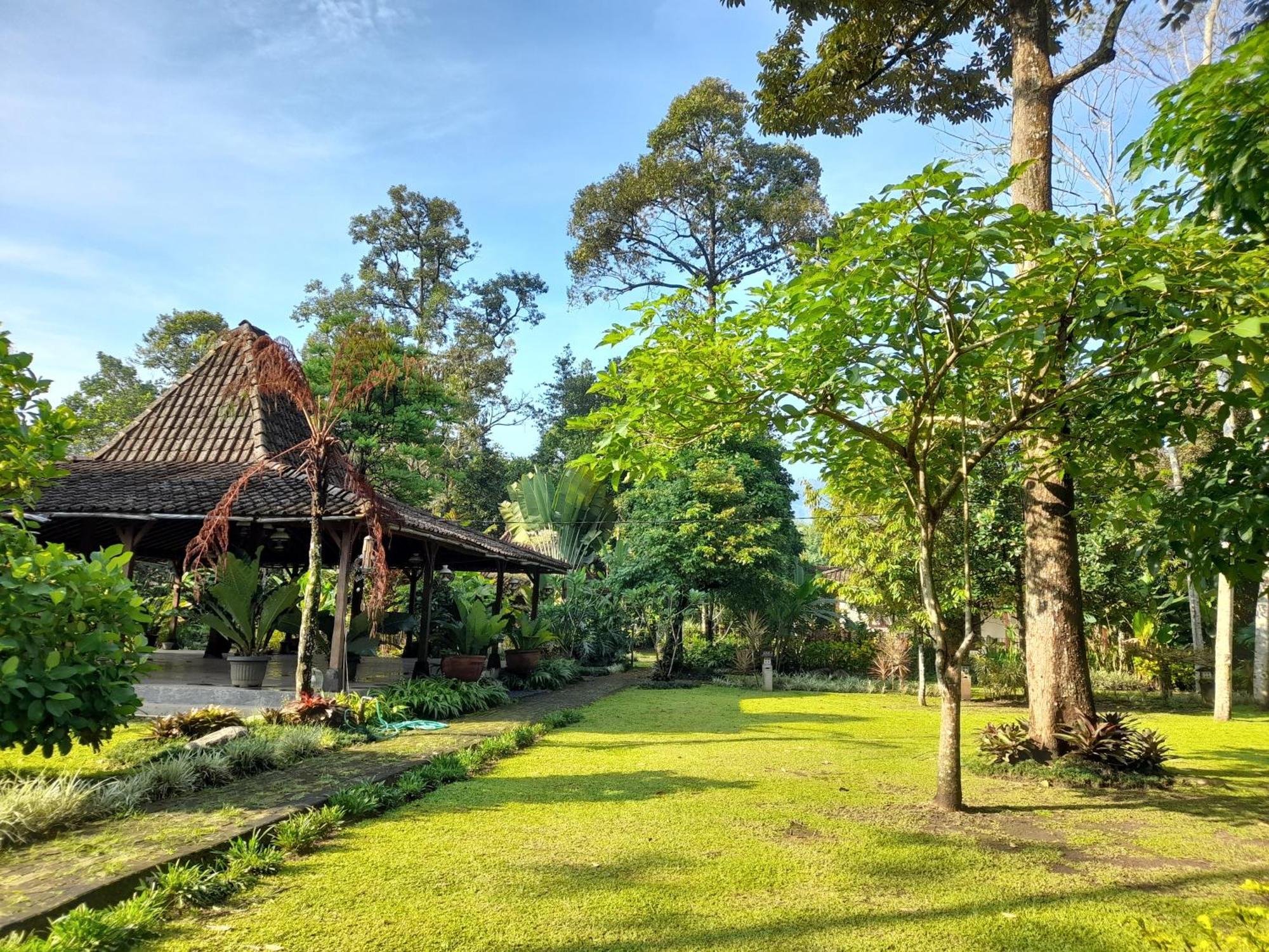 Ndalem Nitihardjan Hotel Magelang Kültér fotó